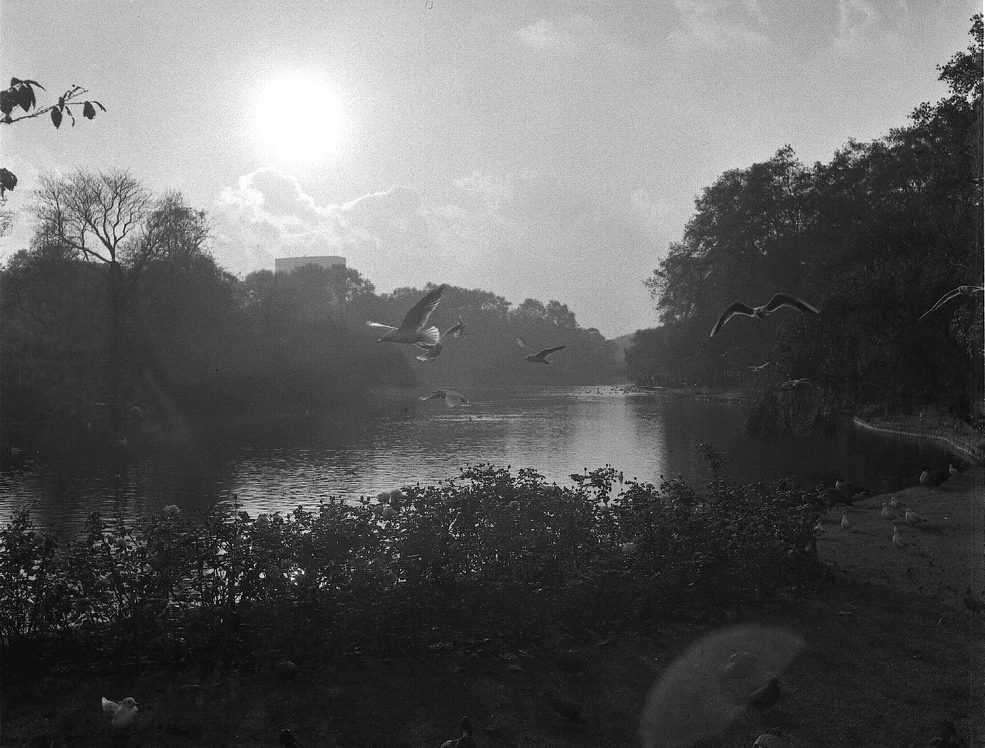 St. James's Park