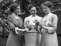 Three sisters