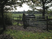 Horton Country Park